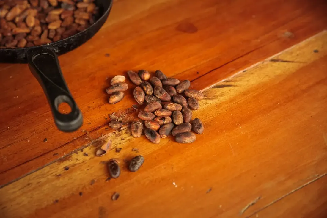 Taller artesanal de cacao amazónico en Hamadryade Lodge